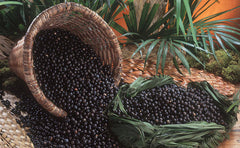 Açaí Palm Seeds