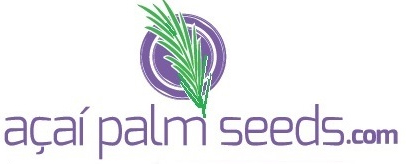 Açaí Palm Seeds